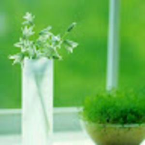 Meet your Posher, Yanping